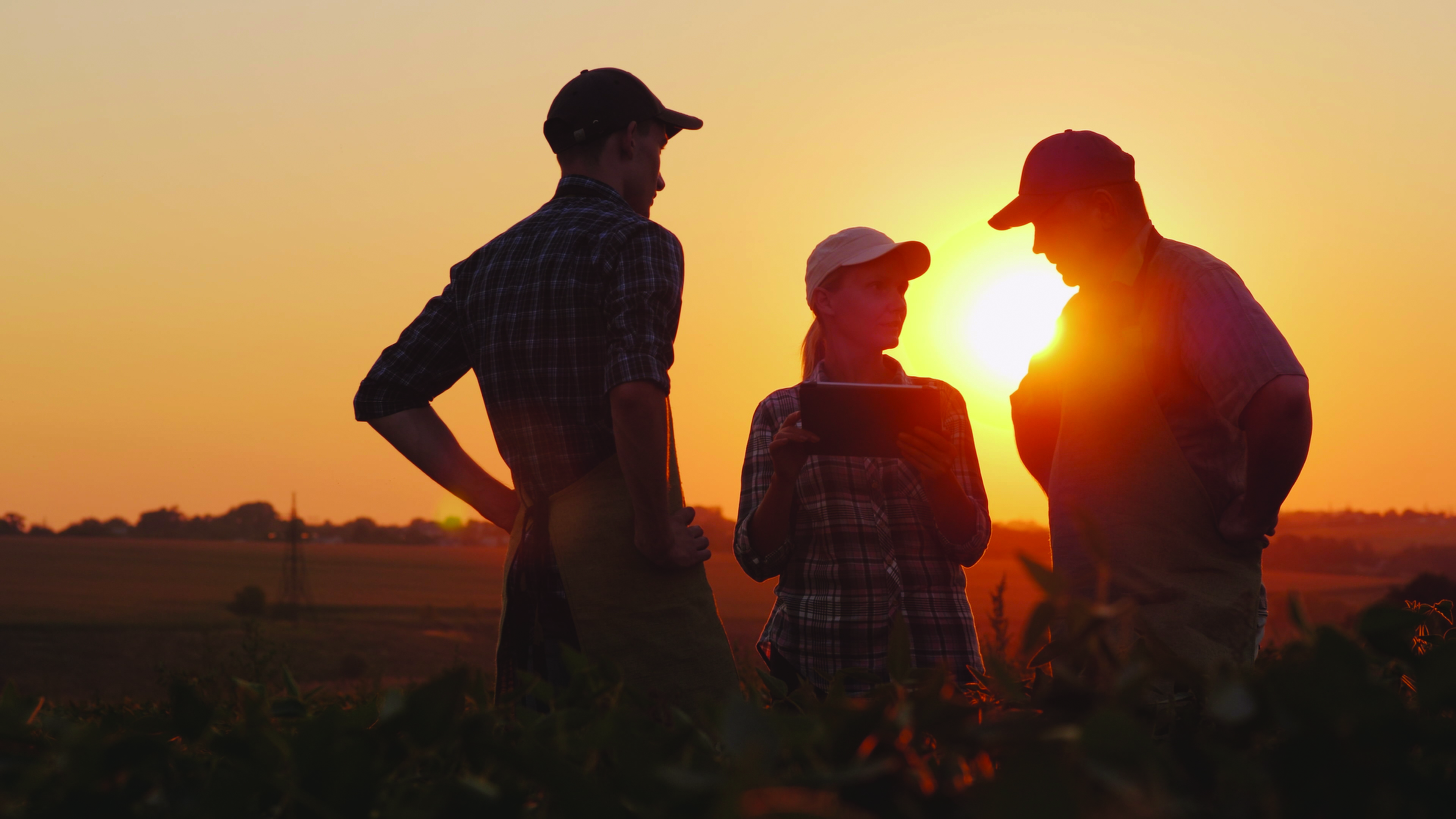 Key Advantages of Chapter 12 Bankruptcy for Struggling Family Farmers