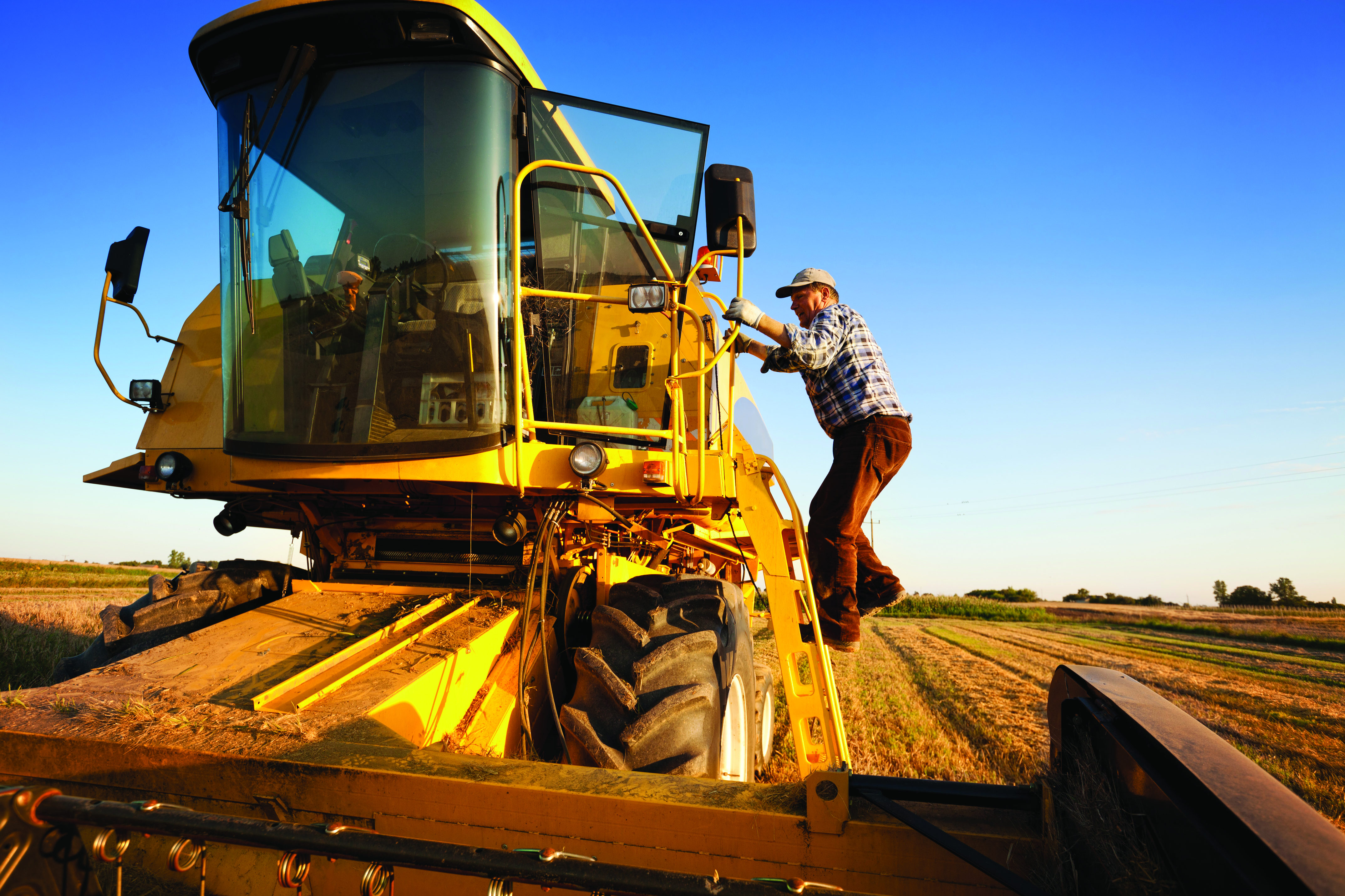 Working with Agricultural Enterprises: Understanding  the Lay of the Land