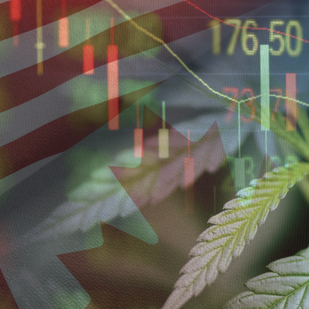 Restructuring Trends in the Cannabis Industry in Canada and the U.S.