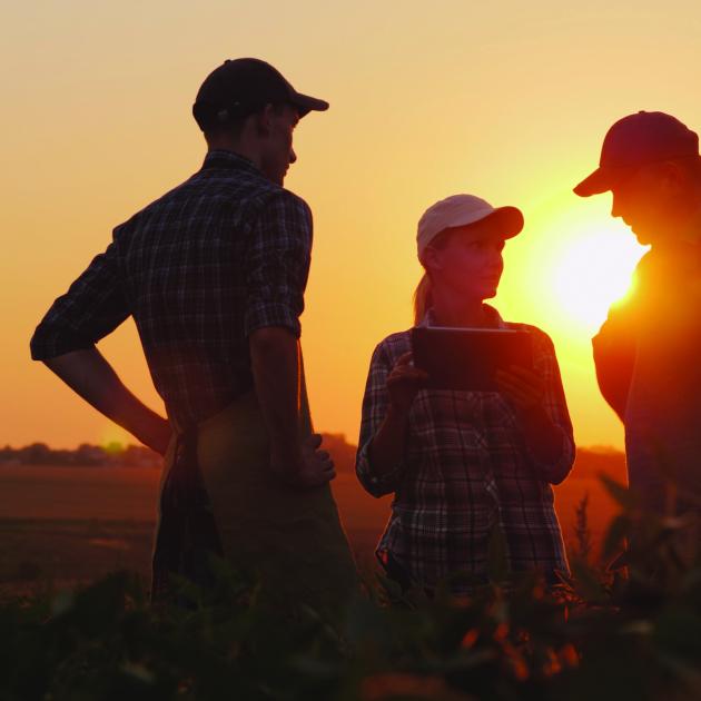 Key Advantages of Chapter 12 Bankruptcy for Struggling Family Farmers