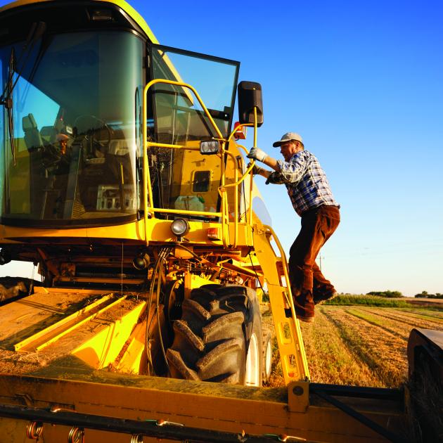 Working with Agricultural Enterprises: Understanding  the Lay of the Land